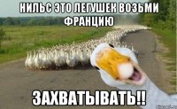 Нильс это легушек возьми Францию Захватывать!!