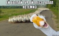 ей былай тур айтпесе тапап кетемиз 