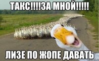 Такс!!!!За мной!!!!! Лизе по жопе давать