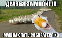 Друзья за мной!!!!! Машка спать собирается XD