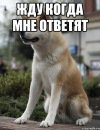 жду когда мне ответят 