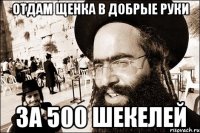 Отдам щенка в добрые руки за 500 шекелей