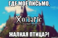 где моё письмо, жалкая птица?!