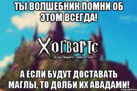 Ты волшебник помни об этом всегда! А если будут доставать маглы, то долби их Авадами!