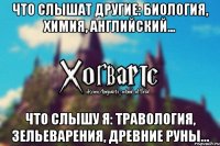 Что слышат другие: биология, химия, английский... Что слышу я: Травология, зельеварения, древние руны...