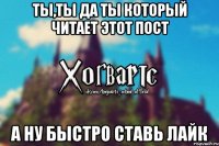 Ты,ты да ты который читает этот пост А ну быстро ставь лайк