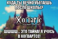 куда ты вечно убегаешь после школы? шшшш... это тайна! я учусь в ХОГВАРТСЕ!