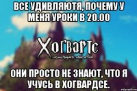 Все удивляютя, почему у меня уроки в 20.00 Они просто не знают, что я учусь в Хогвардсе.