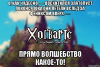 О, как чудесно, — восхитился Златопуст Локонс, пока они летели вслед за фениксом вверх, — Прямо волшебство какое-то!