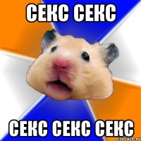 Секс секс Секс секс секс