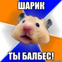 ШАРИК ТЫ БАЛБЕС!