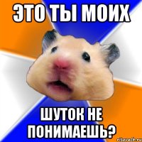 это ты моих шуток не понимаешь?