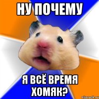 ну почему я всё время хомяк?