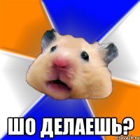  Шо делаешь?