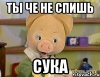 ТЫ ЧЕ НЕ СПИШЬ СУКА