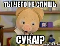 Ты чего не спишь Сука!?