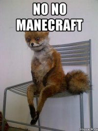 no no manecraft 