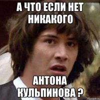 а что если нет никакого антона кульпинова ?