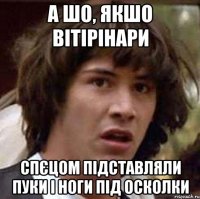 а шо, якшо вітірінари спєцом підставляли пуки і ноги під осколки