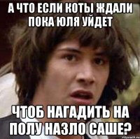 А что если коты ждали пока Юля уйдет чтоб нагадить на полу назло Саше?