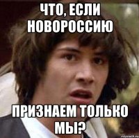 что, если новороссию признаем только мы?