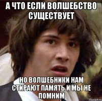 А что если волшебство существует но волшебники нам стирают память и мы не помним