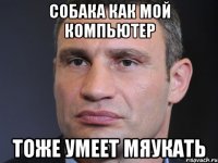 Собака как мой компьютер Тоже умеет мяукать