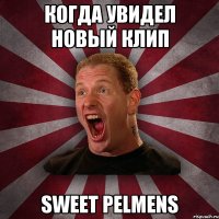 когда увидел новый клип sweet pelmens