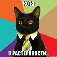 Котэ В растеряности...