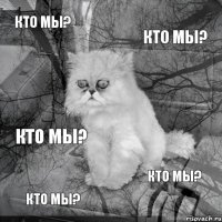 Кто мы? Кто мы? Кто мы? Кто мы? Кто мы?