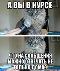 А вы в курсе Что на сообщения можно отвечать не только дома?