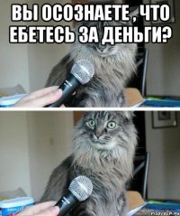 Вы осознаете , что ебетесь за деньги? 