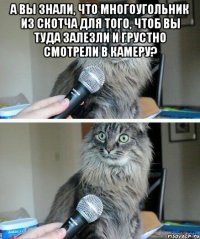 а вы знали, что многоугольник из скотча для того, чтоб вы туда залезли и грустно смотрели в камеру? 