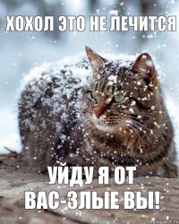 хохол это не лечится уйду я от вас-злые вы!