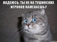 Надеюсь, ты не на тушинских игроков намекаешь? 