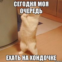 сегодня моя очередь ехать на хондочке