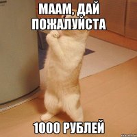 Маам, дай пожалуйста 1000 рублей