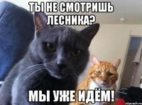 ТЫ НЕ СМОТРИШЬ ЛЕСНИКА? МЫ УЖЕ ИДЁМ!