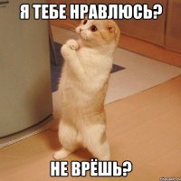 я тебе нравлюсь? не врёшь?