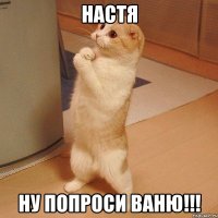 Настя ну попроси ваню!!!