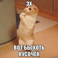 Эх Вот бы хоть кусочек