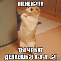 Женек?!!!! Ты че ьут делаешь?! А-а-а....?!