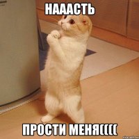 Нааасть Прости меня((((