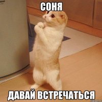 Соня давай встречаться