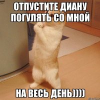 отпустите Диану погулять со мной на весь день))))