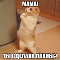 Мама! Ты сделала планы?