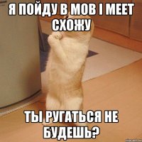 Я пойду в Mob I meet схожу Ты ругаться не будешь?