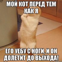 мой кот перед тем как я его уебу с ноги, и он долетит до выхода!