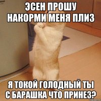 ЭСЕН ПРОШУ накорми меня плиз я токой голодный ты с барашка что принез?