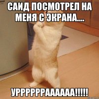 Саид посмотрел на меня с экрана.... Урррррраааааа!!!!!